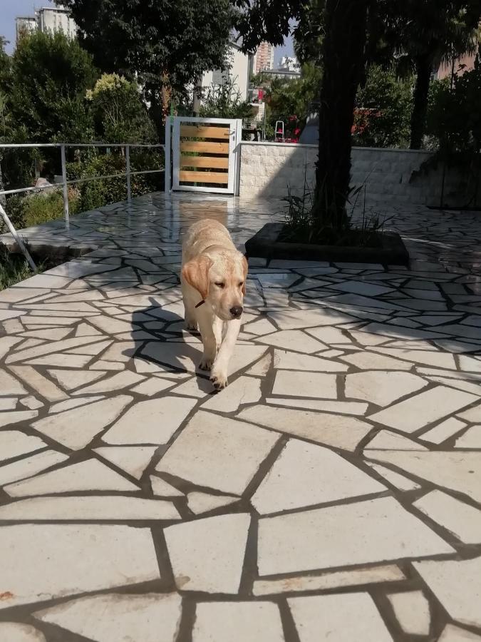 Apartmani Palmas Ριέκα Εξωτερικό φωτογραφία
